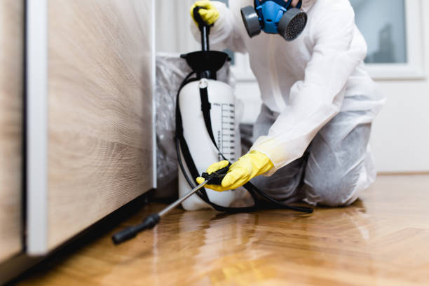 Best Termite Control Services  in Rochester, NY