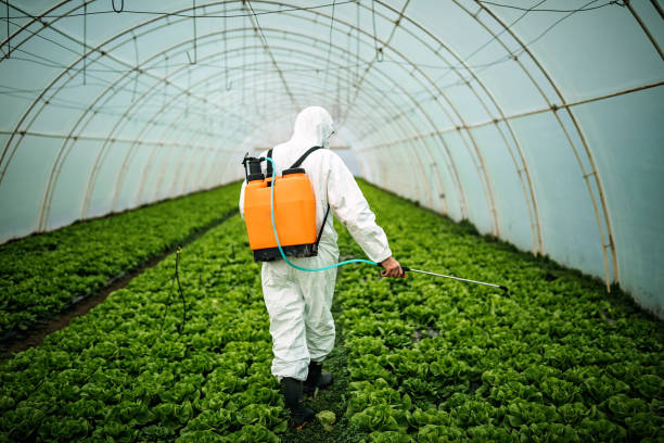 Best Affordable Exterminators  in Rochester, NY