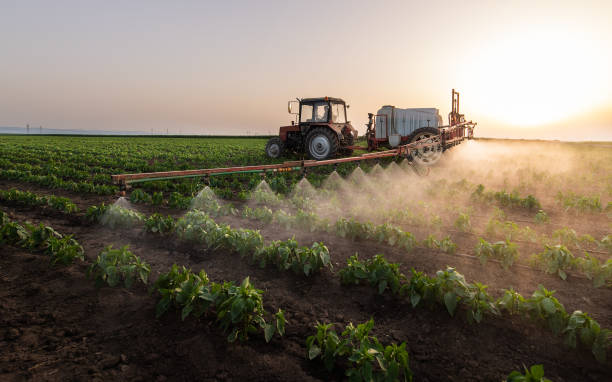 Best Commercial Pest Control Services  in Rochester, NY