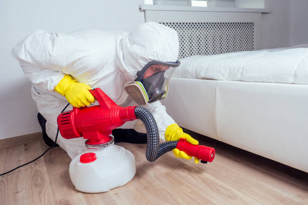 Best Pest Control Near Me  in Rochester, NY