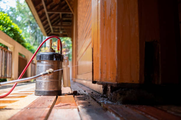Best Cockroach Control Services  in Rochester, NY