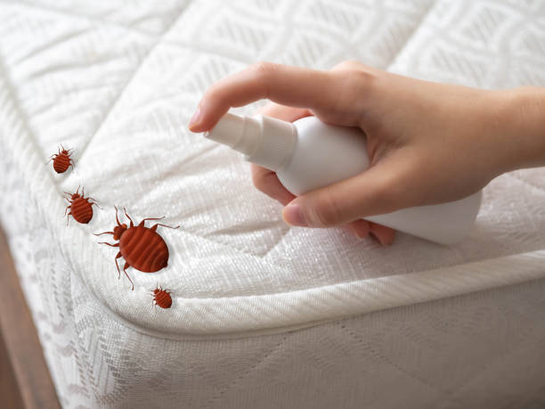 Best Pest Control for Homes  in Rochester, NY