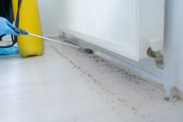Best Pest Control for Restaurants  in Rochester, NY