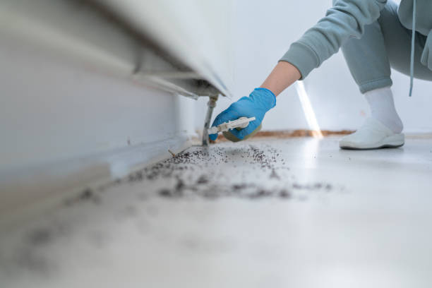 Pest Prevention Services in Rochester, NY